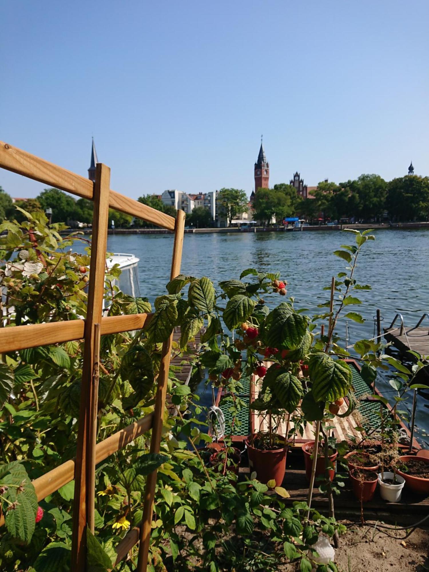 Dahme Am Wasser Séjour chez l'habitant